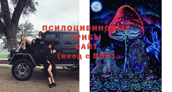 ешки Арсеньев