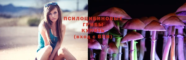 гидропоника Армянск