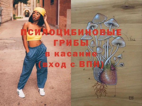 ешки Арсеньев